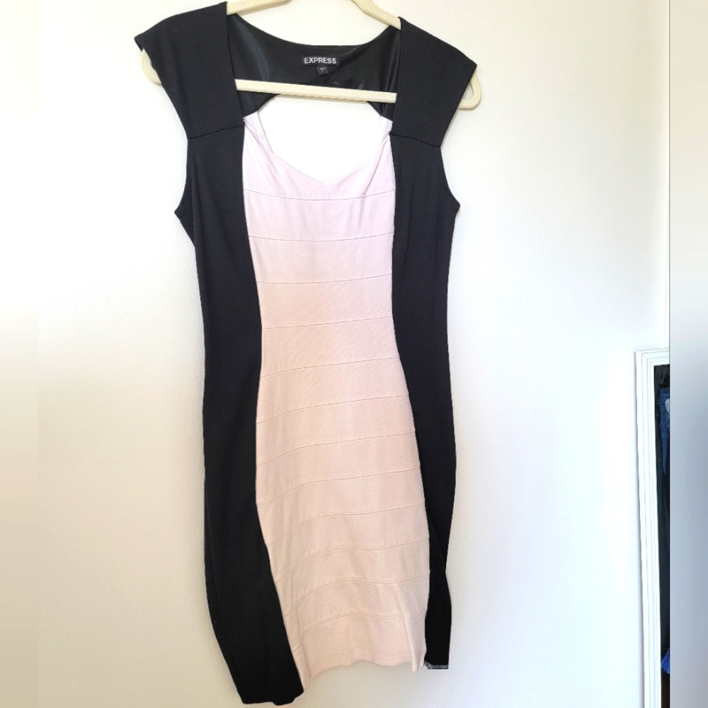 Express bodycon dress